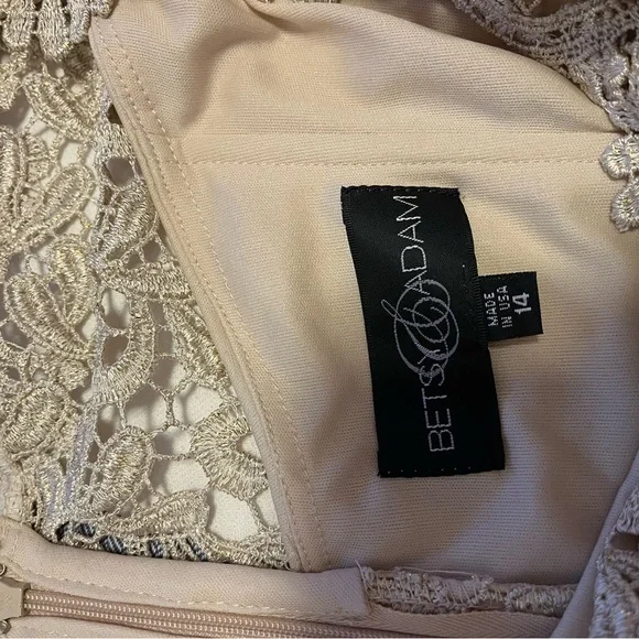 Adam Beige Lace Midi Dress - Picture 4 of 4